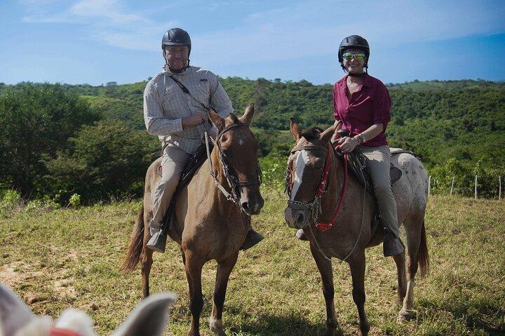 カルタヘナ近郊のワイルドライフパラダイスでUTVスリル＆乗馬体験