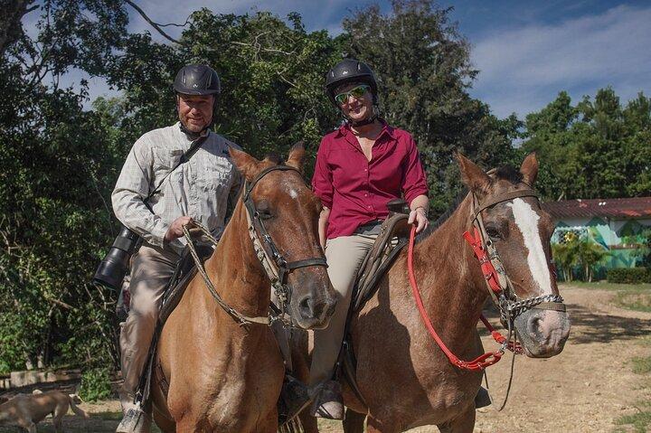 カルタヘナ近郊のワイルドライフパラダイスでUTVスリル＆乗馬体験