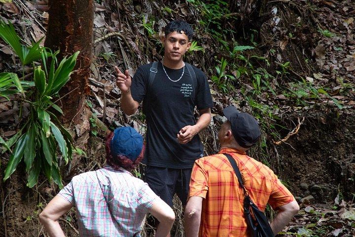 The Ultimate Jaco Waterfall Experience – Adventure & Serenity
