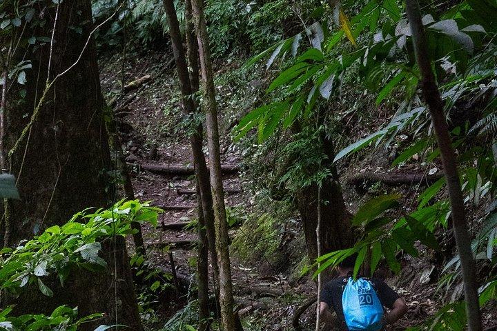 The Ultimate Jaco Waterfall Experience – Adventure & Serenity