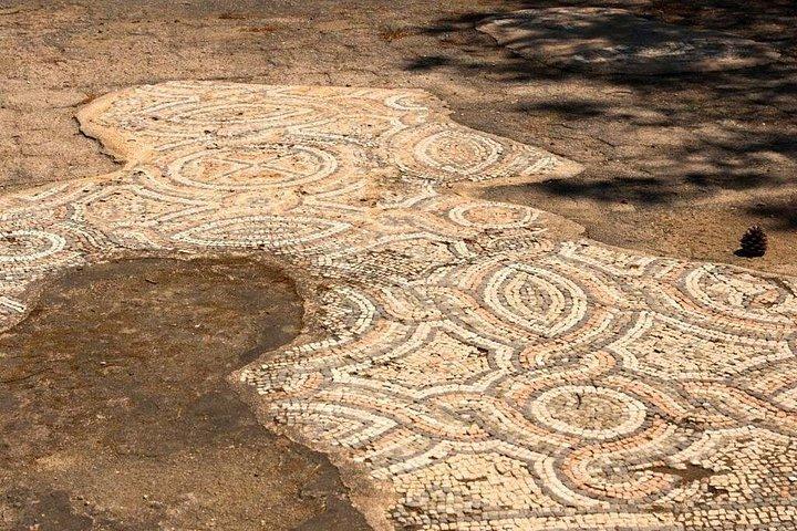 コロナの聖域のガイドツアーで古代アイギーナを発見