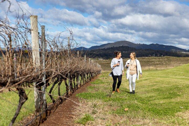 Visite pittoresque de la vallée Hunter avec dégustations de vin et de fromage