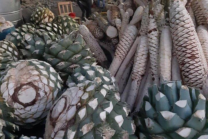 Privat rundvisning i Mitla, Weavers Town, Mezcal og Hierve el Agua