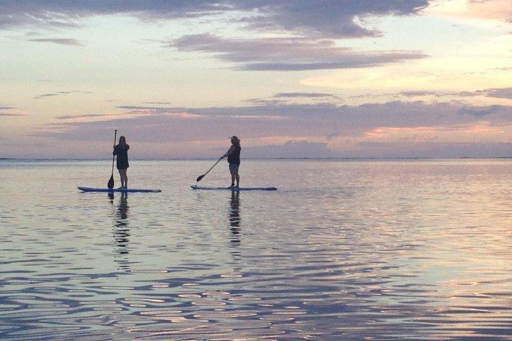 Stand Up Paddle Board Lessons