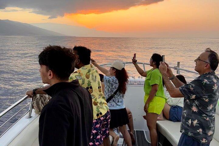ラハイナ日の出ホエールウォッチング2時間