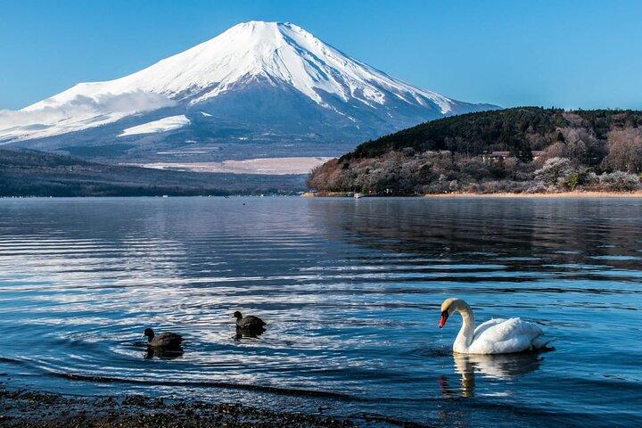 Mount Fuji Private Tour With English Speaking Driver