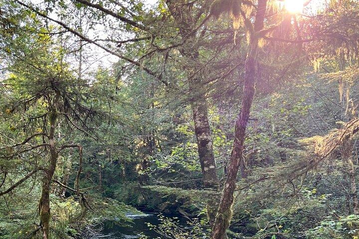 Mooie natuurwandeling op Ketchikan's Ward Creek Trail