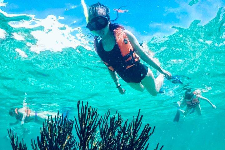 Privétour langs de riffen en koralen van Puerto Morelos met snorkelen en lunch