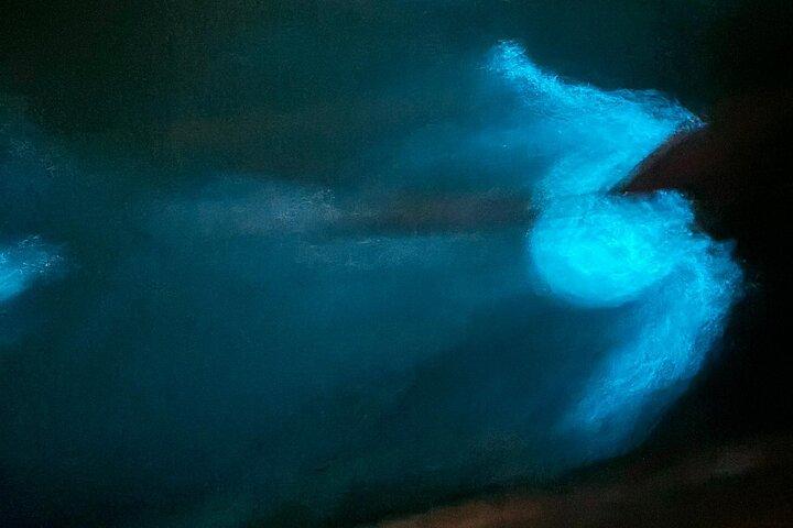 ホタルと生物発光ナイトツアー（シーフード・デライト付き）