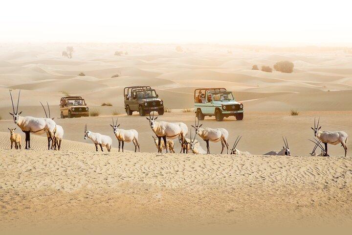 Safari patrimonial en soirée par Vintage Classe G à l'Oasis d'Al Marmoom