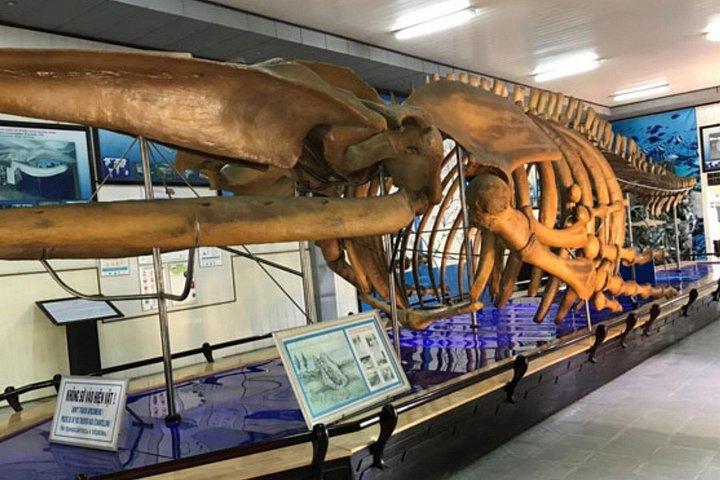 ニャチャンの人気アトラクションと隠れた宝石アドベンチャー