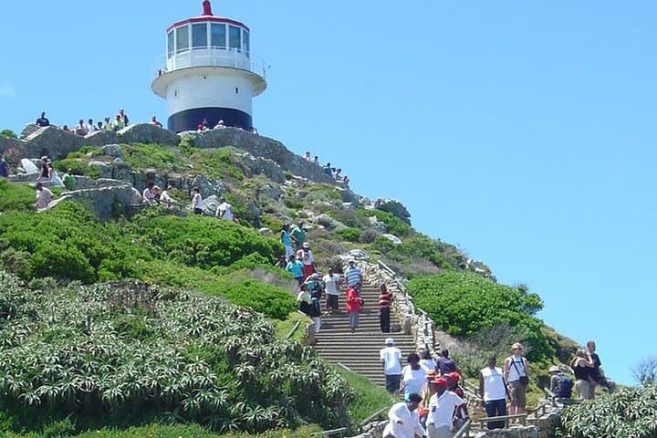 Cape Town Super Saver: Cape Point Tour plus Wine Tasting in Stellenbosch