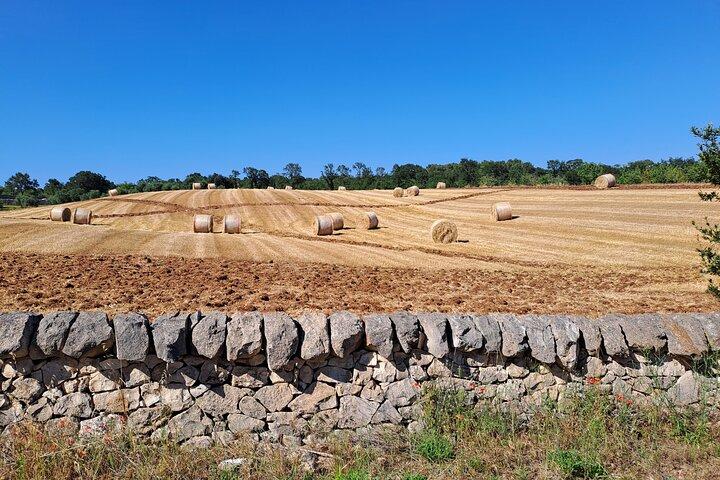e bike tour Alberobello e Locorotondo andata e ritorno