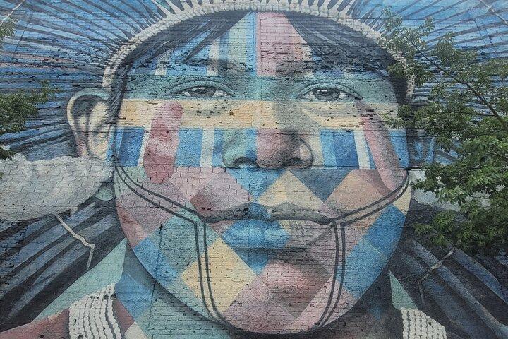 Visite privée du Street Art de Rio de Janeiro