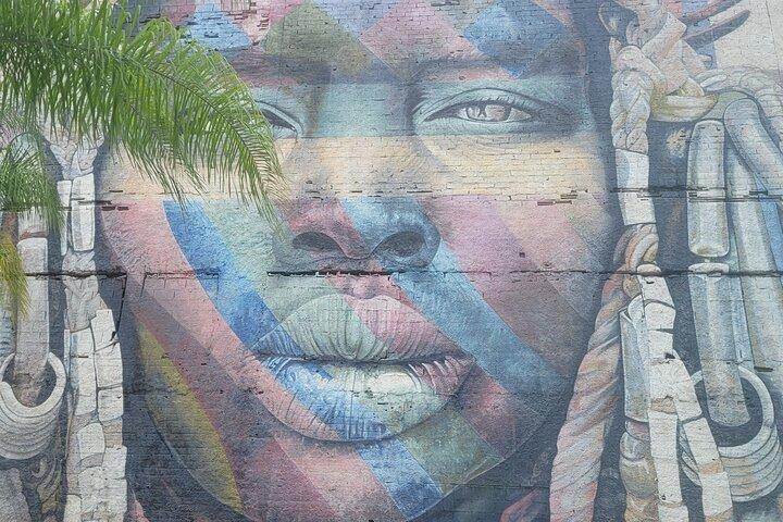 Visite privée du Street Art de Rio de Janeiro
