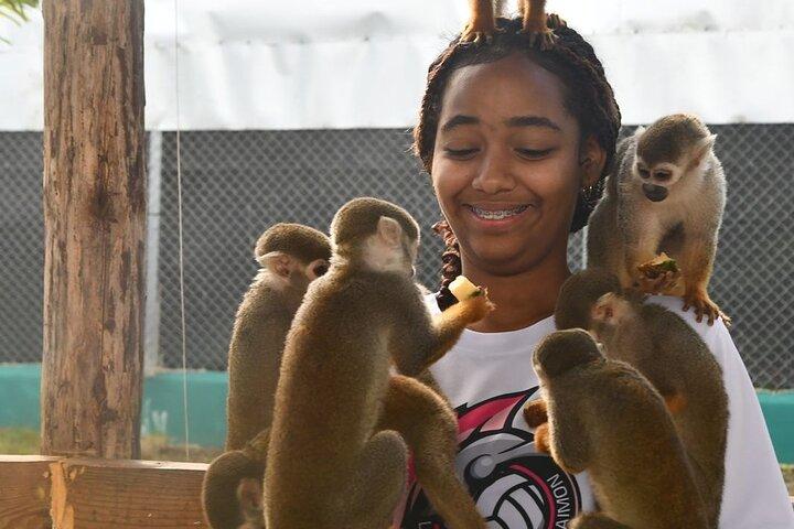 Visite du Monkey Park et des cascades de Damajagua à Puerto Plata.
