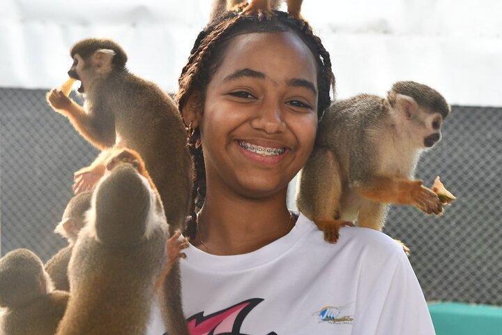 Visite du Monkey Park et des cascades de Damajagua à Puerto Plata.