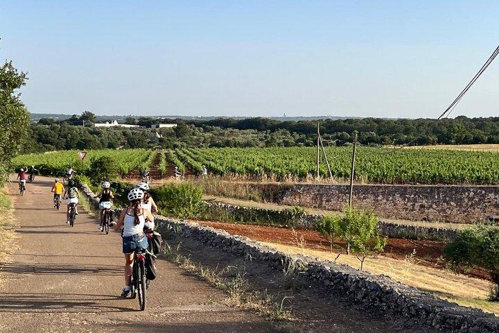 Locorotondo to Alberobello E Bike Tour