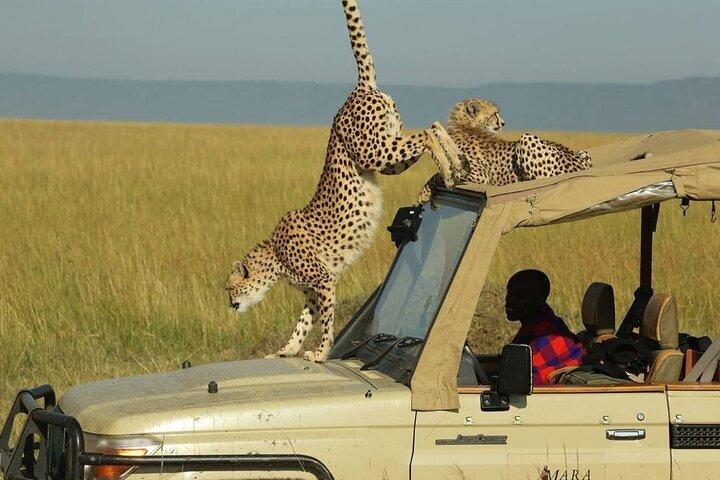 5 Days 4 Nights Kenya Safari Adventure