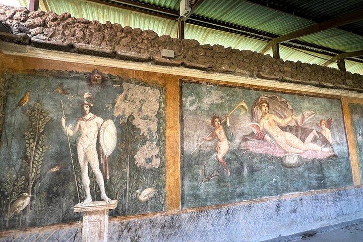 Pompeji mit einem Archäologen Gemeinsame oder private Tour ab Neapel