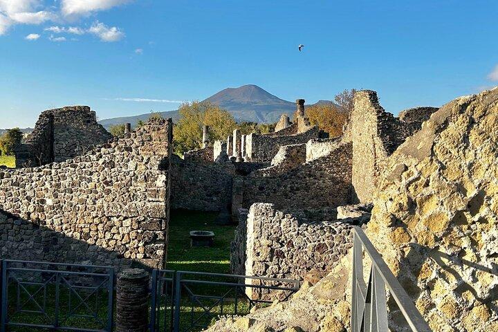 Pompeji mit einem Archäologen Gemeinsame oder private Tour ab Neapel