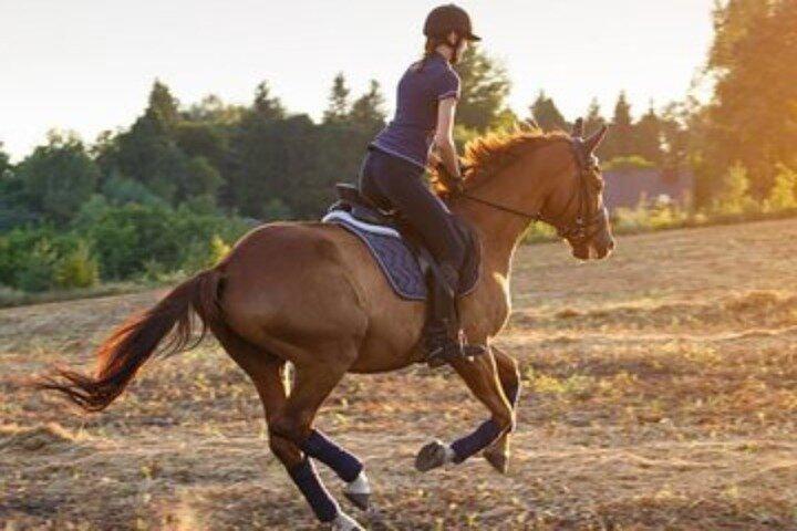 レイクビューでドバイ砂漠の日の出乗馬体験