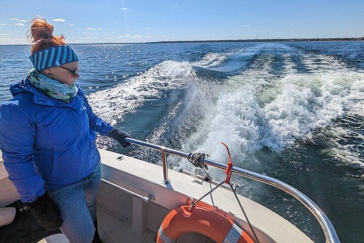 Sälskådningstur nära Malusiöarna