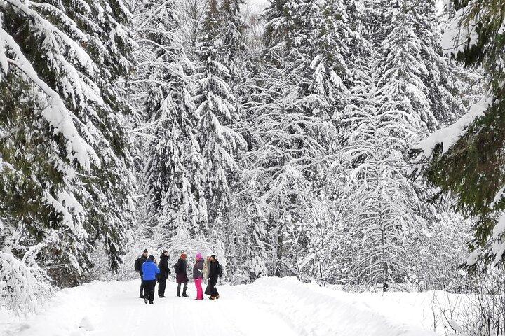 Lahemaa Nationalpark und drei Wasserfälle Tour