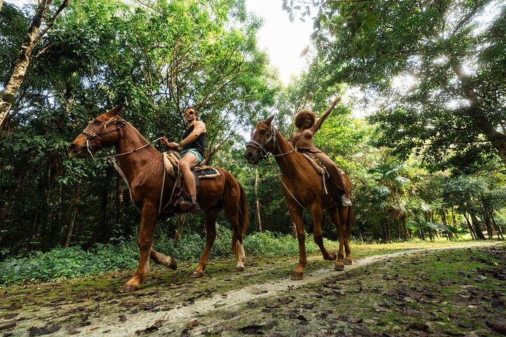 カンクンジャングルコンボツアー：乗馬、ATV、ジップライン＆セノーテ