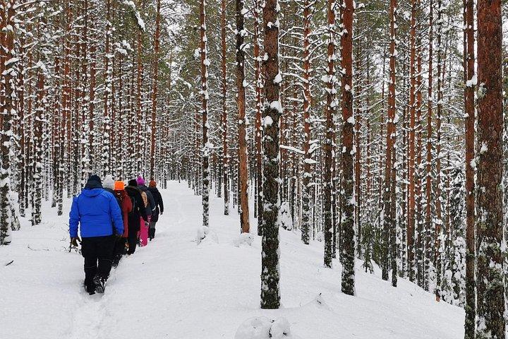 Dagtocht naar Lahemaa National Park