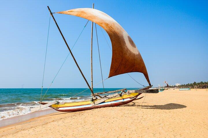 Experiencia Sri Lanka