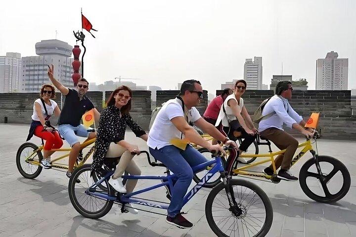 Privat fuld dag Xi'an tur