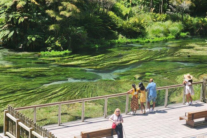 Visite privée WaiOtapu & Huka Falls & Blue springs au départ d'Auckland