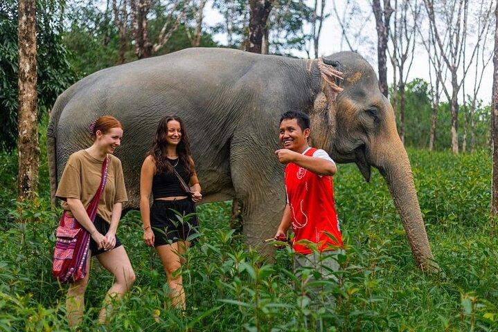 Small Group immersive Elephant Sanctuary & Karen Tribe life
