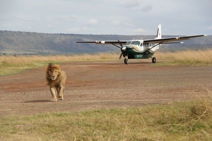 3-Day Masai Mara Flying Luxury Lodge Private Safari