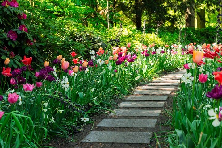 From Amsterdam - Private Keukenhof Garden Tour (Skip-the-line)