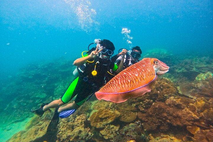 Phuket Scuba Diving Maiton Private Island Grupo pequeño o Snorkel