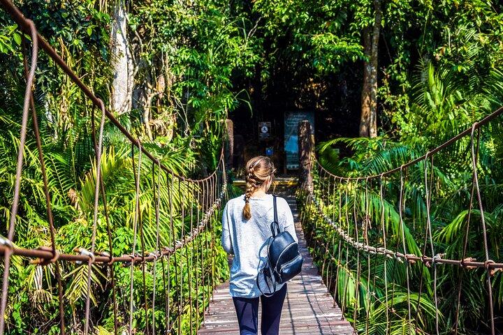 Excursión de día completo al Parque Nacional Khao Yai desde Bangkok