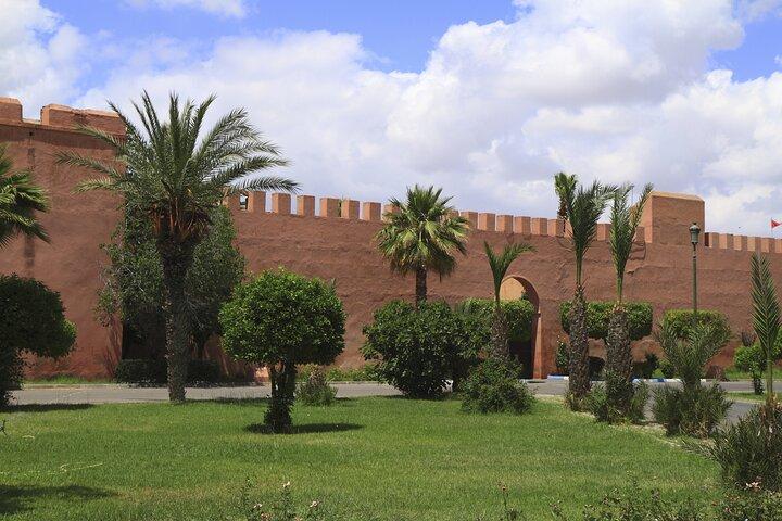 3-Hour Botanical Tour of Marrakech by Horse Carriage
