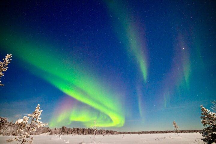 Grupo privado: Northern Lights Hunt SUV 4x4 con garantía Aurora