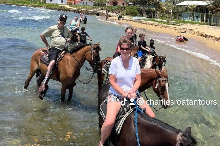 Roatan Paardrij-eiland Tour Combo