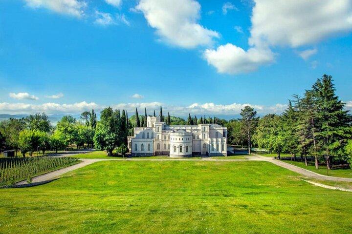 Tour privato di Tbilisi e castello Mukhrani con degustazione di vini e pranzo