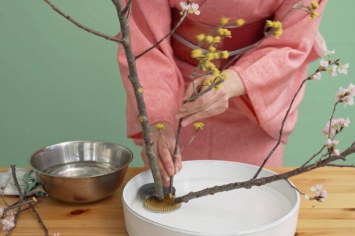 Os costumes japoneses do Ikebana Art, Tea Ceremony & Kimono Bem-vindo