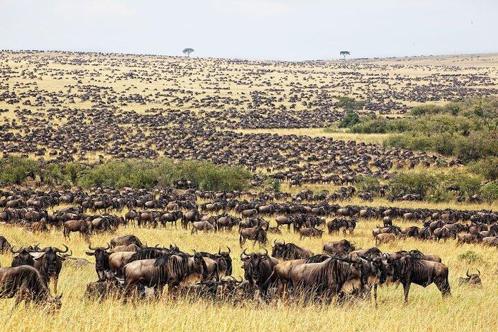 10-daagse Oost-Afrika Safari-expeditie