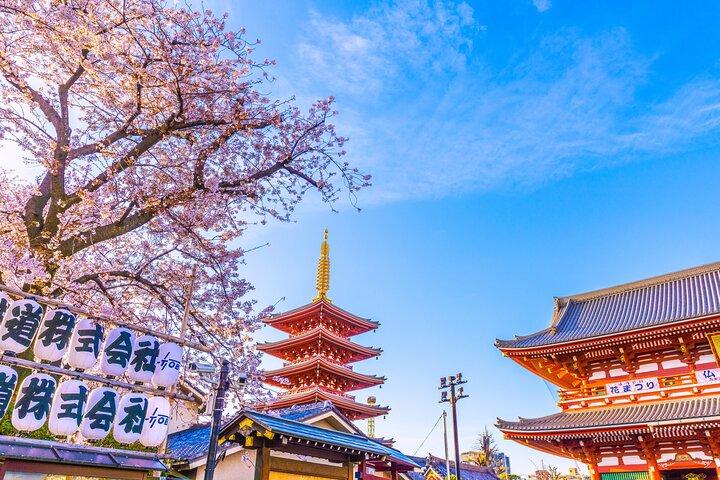 東京 : 浅草・浅草寺 ー 最古のお寺散策（2時間）