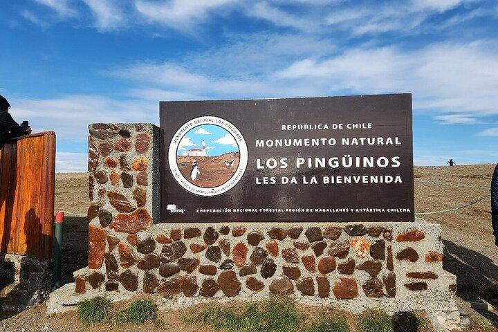 マグダレナ島ペンギンボートツアーとマルタ島