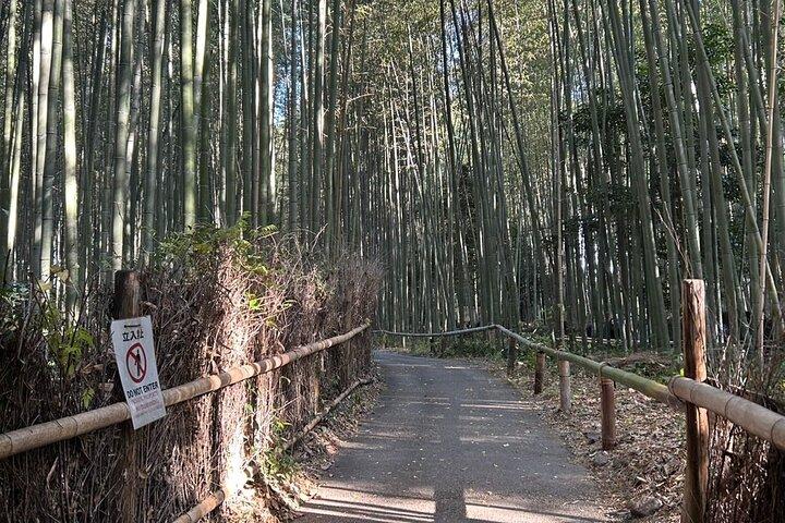 Kyoto Popular Tour: Aprenda filosofia japonesa em Kyoto