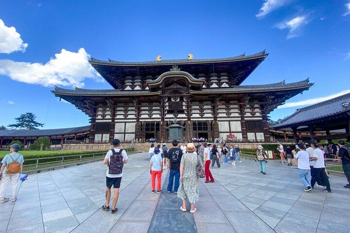 京都全日ツアーから奈良公園、大阪＆神戸