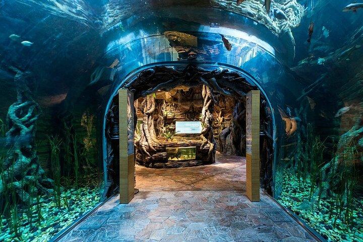 Dubai Green Planet Rainforest Eintrittskarte