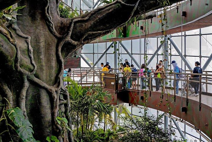 Dubai Green Planet Rainforest Eintrittskarte